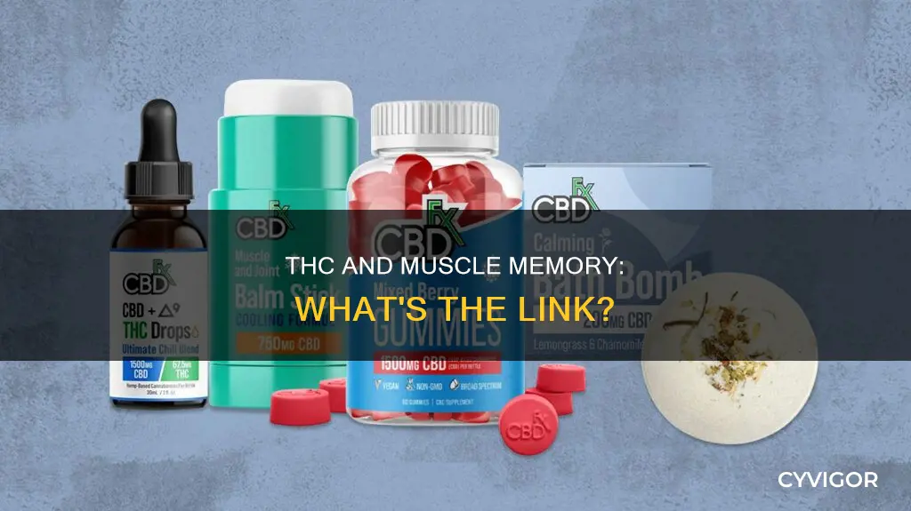 does thc stick to muscle