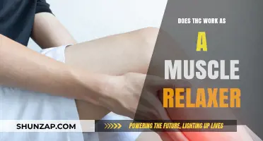 THC as a Muscle Relaxer: Benefits, Risks, and Research Insights
