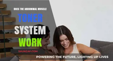 Does the Abdominal Muscle Toner System Really Deliver Results?