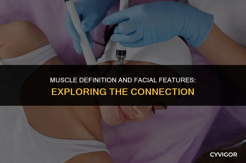 does the amount of muscle you have affect your face