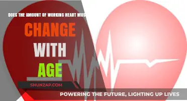 Aging Hearts: Does Working Muscle Mass Decline Over Time?