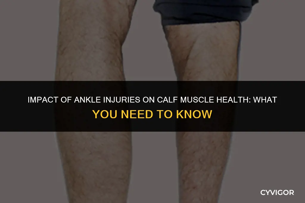 does the calf muscle deteriorate with ankle injury