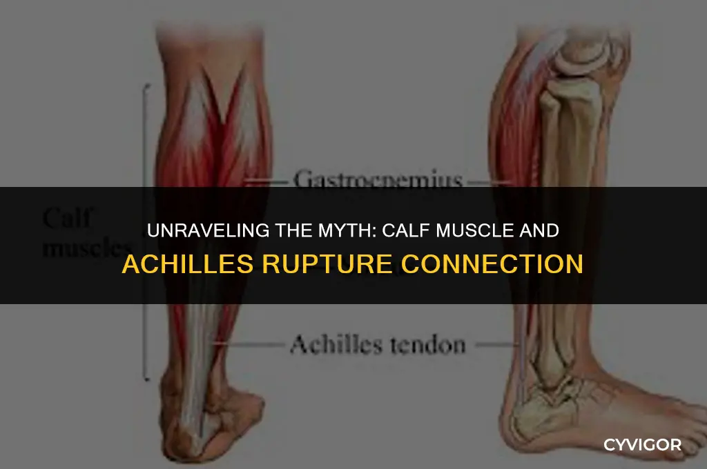 does the calf muscle roll up when rupturing an achilles