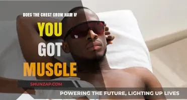 Muscle Growth and Chest Hair: Understanding the Surprising Connection