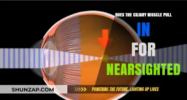 How Ciliary Muscle Function Impacts Nearsightedness: A Detailed Explanation