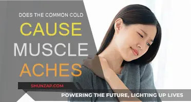 Cold Symptoms: Muscle Aches and Pains Explained