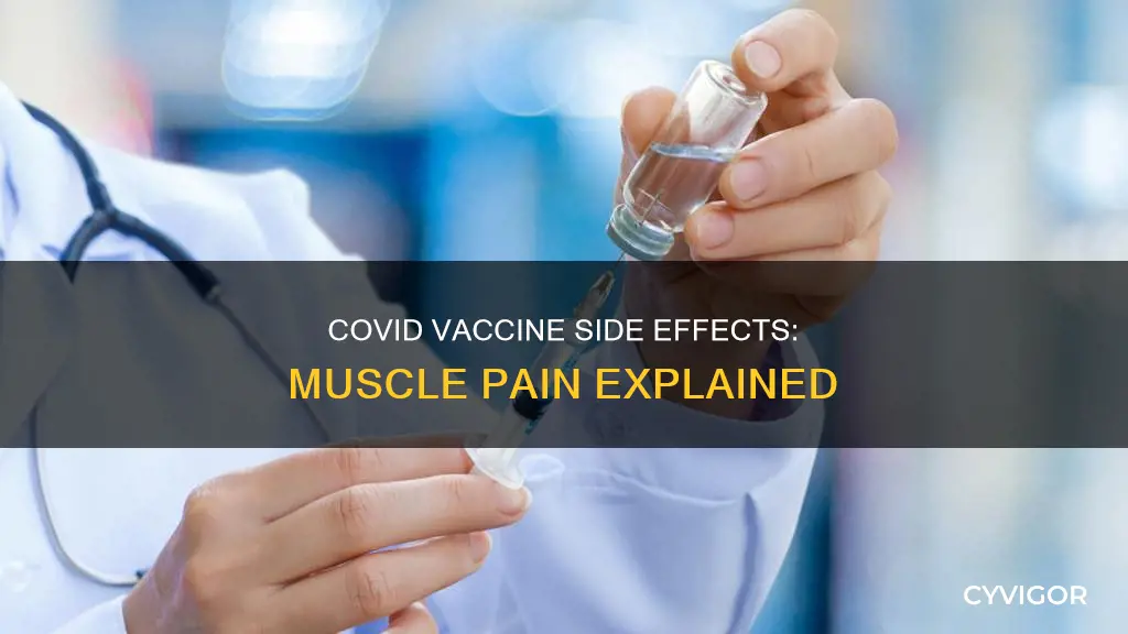 does the covid vaccine cause muscle pain