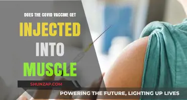 Understanding COVID-19 Vaccines: Muscle Injection Explained