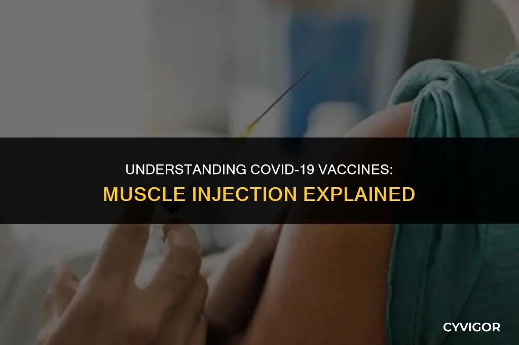 does the covid vaccine get injected into muscle
