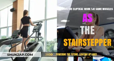 Elliptical vs. Stairstepper: Which Muscles Do They Target?