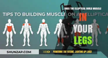 Elliptical Training: Effective for Leg Muscle Building?