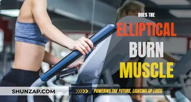 Elliptical Workouts: Burning Fat, Not Muscle