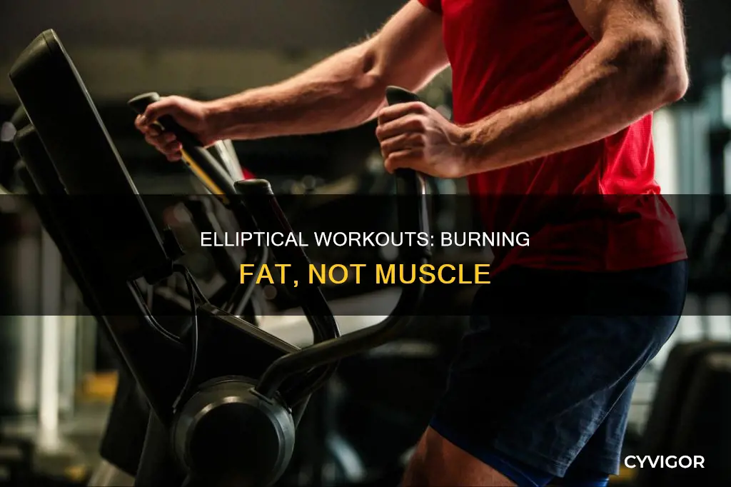 does the elliptical burn muscle