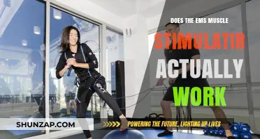 Does EMS Muscle Stimulation Deliver Real Results? Uncovering the Truth