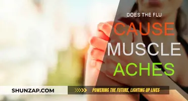 Flu and Muscle Aches: What's the Link?