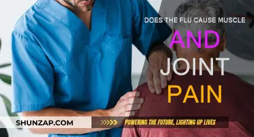Flu Symptoms: Muscle and Joint Pain Explained