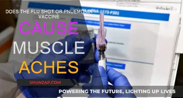 Flu and Pneumonia Vaccines: Understanding Muscle Aches