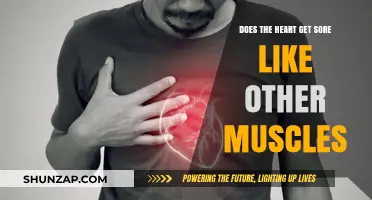 Can Your Heart Ache Like Your Muscles? Exploring Cardiac Soreness