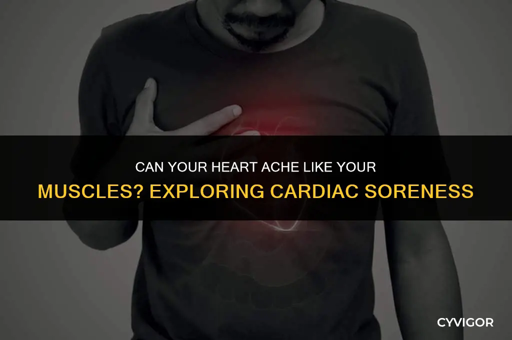does the heart get sore like other muscles