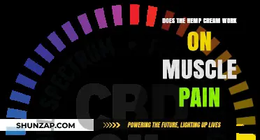 Hemp Cream for Muscle Pain: Effective Relief or Just Hype?