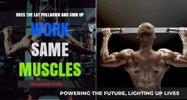 Lat Pulldown vs. Chin Up: Which Muscles Do They Target?