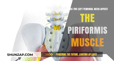 Exploring the Connection: Left Femoral Neck and Piriformis Muscle