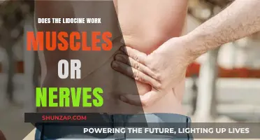 Lidocaine's Mechanism: Targeting Muscles or Nerves for Pain Relief?