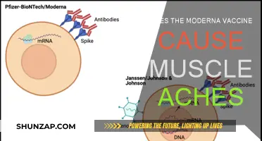 Modern Vaccine Muscle Aches: What's the Link?