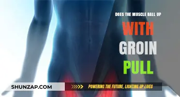 Groin Pull and Muscle Balling: Understanding the Connection and Recovery