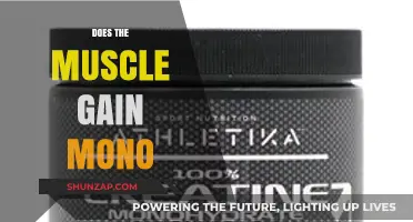 Does Muscle Gain Mono? Understanding the Impact of Mononucleosis on Fitness
