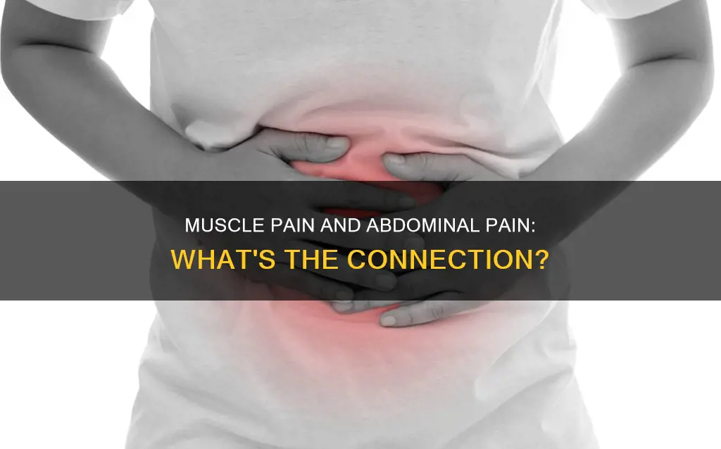 does the muscle pain cause abdominal pain