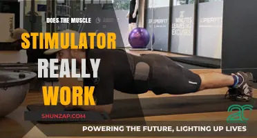 Muscle Stimulators: Effective Workout Tool or Just a Fad?