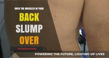 Back Muscles and Posture: Understanding the Slump Effect