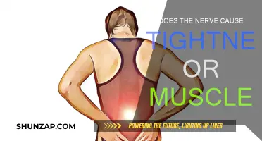 Nerve and Muscle: The Tightness Conundrum