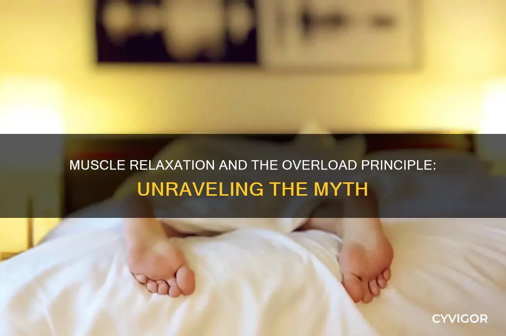 does the overload principle state muscle must be relaxed