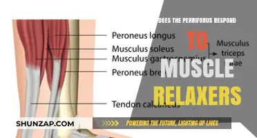 Does the Peroneus Muscle Respond to Muscle Relaxers? Exploring Treatment Options