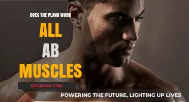 Does the Plank Exercise Target All Abdominal Muscles Effectively?
