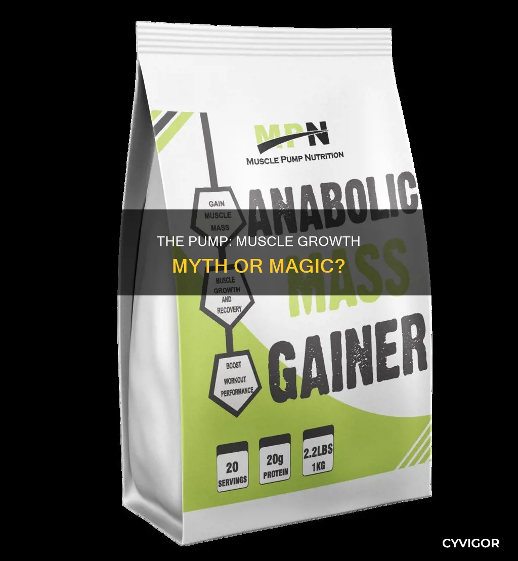 does the pump cause muscle growth