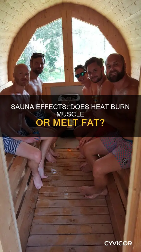 does the sauna burn muscle