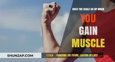 Muscle Gain and Scale Weight: Understanding the Connection