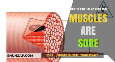 Muscle Soreness and Weight Gain: Does the Scale Reflect Pain?
