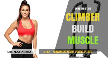 Elevate Your Fitness: How Stair Climbers Sculpt Muscle