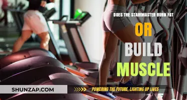 StairMaster: Effective for Fat Loss or Muscle Gain?