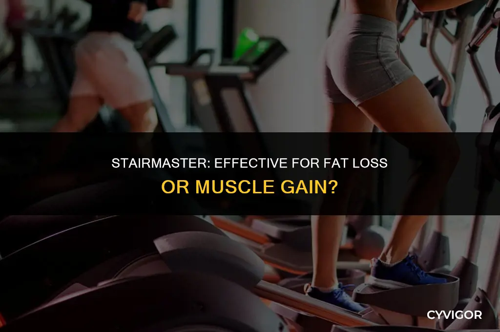 does the stairmaster burn fat or build muscle