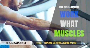 Stairmaster Muscle Workout: Targeted Groups and Fitness Benefits Explained