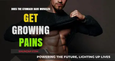 Understanding Stomach Muscle Growth and Its Associated Pains