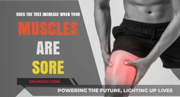 Does Muscle Soreness Boost Your TDEE? Unraveling the Connection