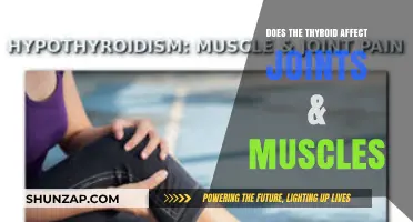 Thyroid Impact on Joints and Muscles: What You Need to Know