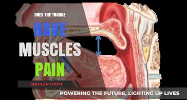 Tongue Muscle Pain: Causes, Symptoms, and Effective Relief Strategies