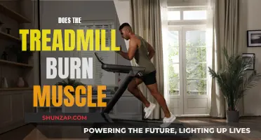 Treadmill Workouts: Burning Fat, Not Your Muscles